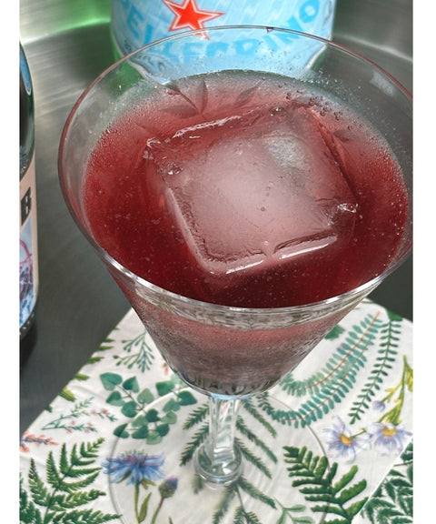 Elderberry Shrub